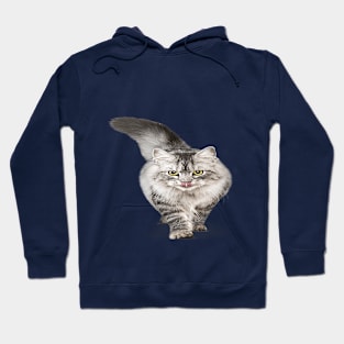 CAT Hoodie